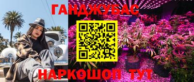 прущие грибы Коммунар