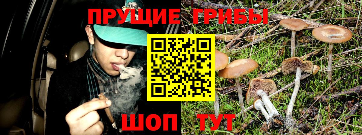 Псилоцибиновые грибы Magic Shrooms  Вход с VPN  Строитель 